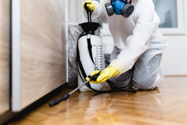 Best Pest Removal Services  in Kaaawa, HI