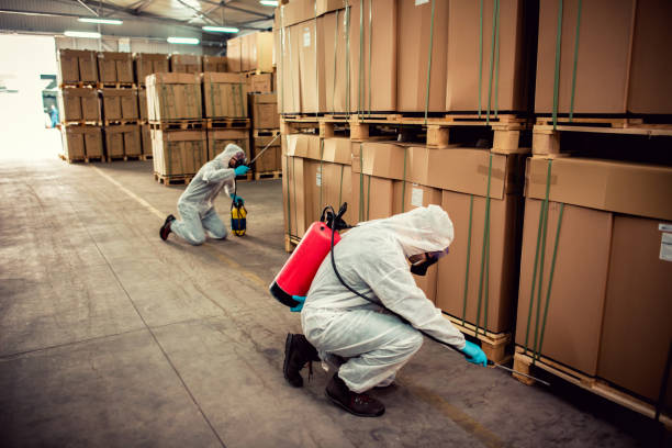 Best Pest Prevention Services  in Kaaawa, HI