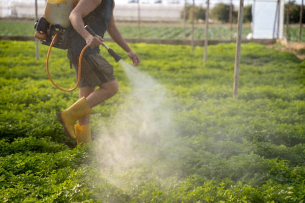 Best Best Pest Control Companies  in Kaaawa, HI